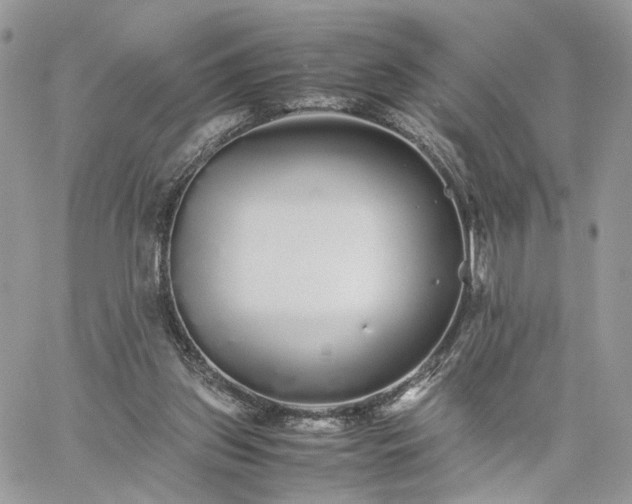 X0000060780157200511171252