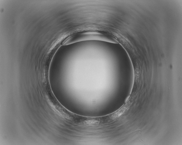 X0000060780158200511171252