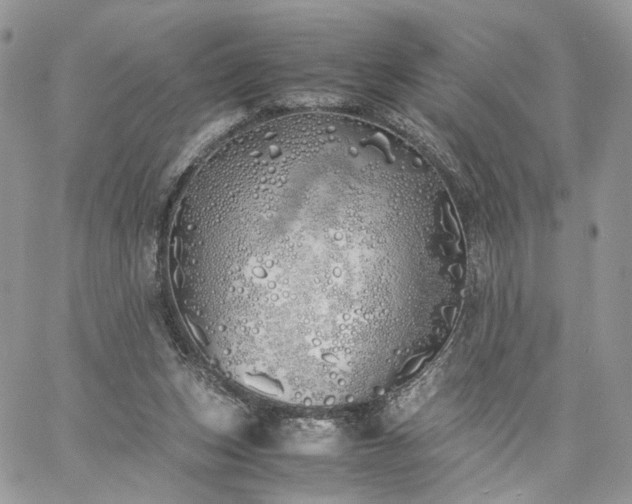 X0000060780159200511171252