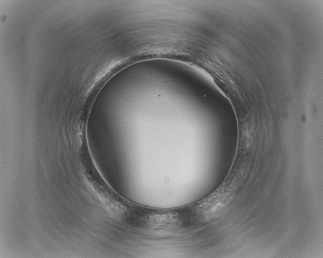 X0000060780160200511171252