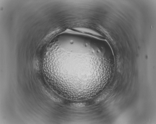 X0000060780161200511171252