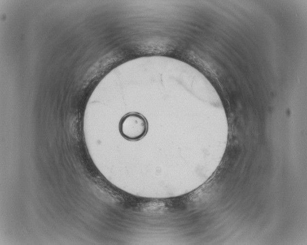 X0000060780162200511171252