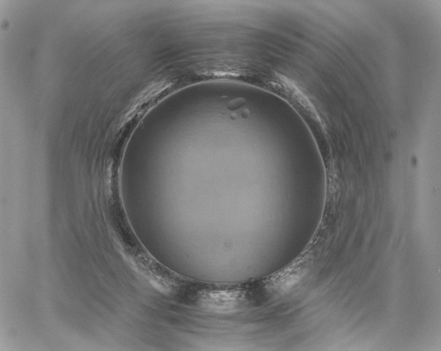 X0000060780163200511171252