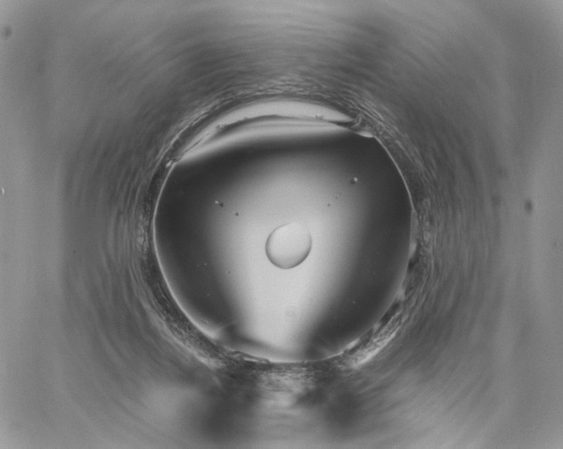 X0000060780164200511171252