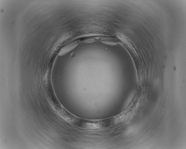 X0000060780167200511171252