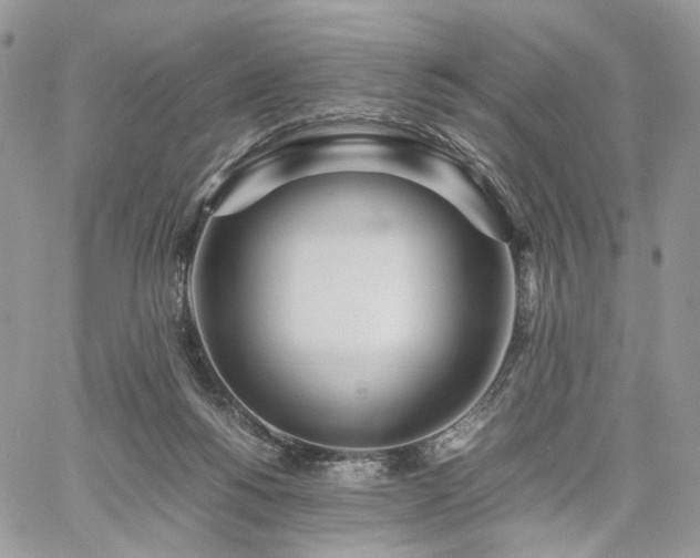 X0000060780168200511171252