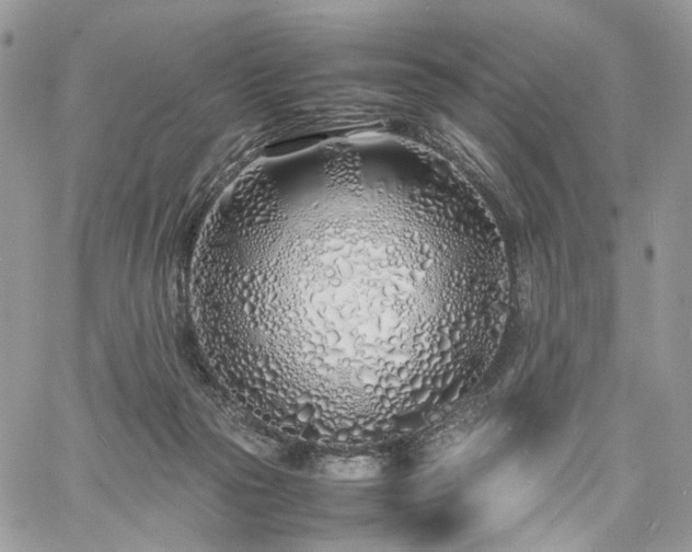 X0000060780169200511171252