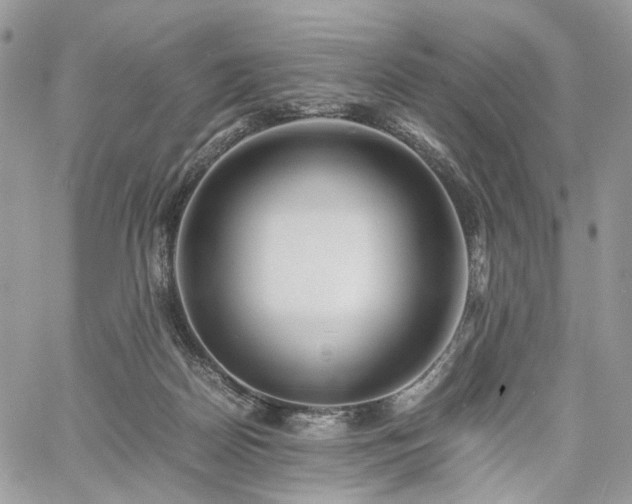 X0000060780170200511171252