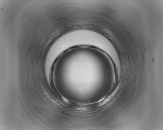 X0000060780171200511171252