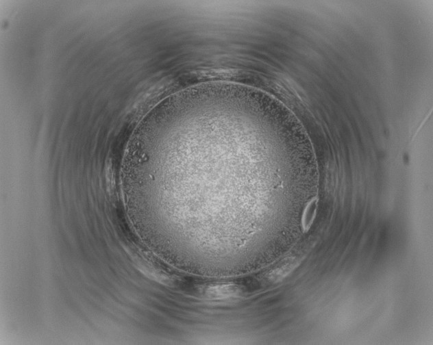 X0000060780173200511171252