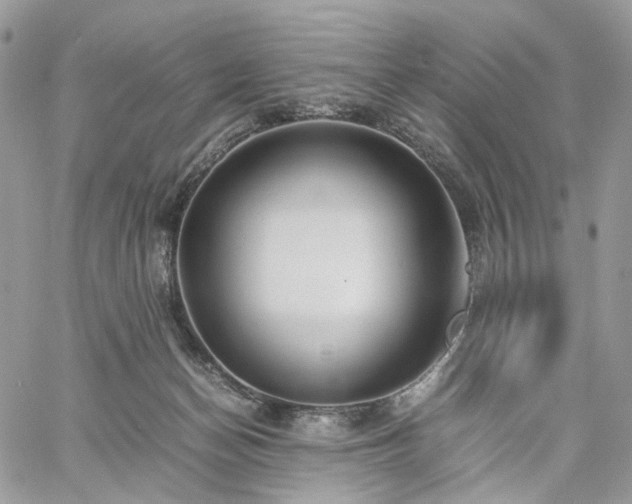 X0000060780174200511171252