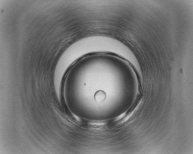 X0000060780175200511171252