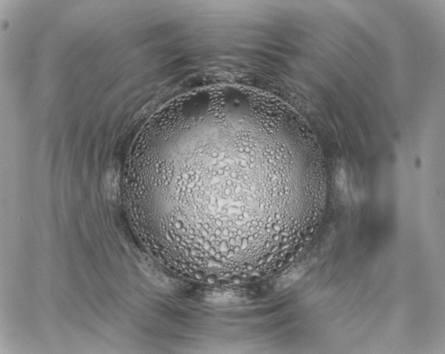 X0000060780177200511171252