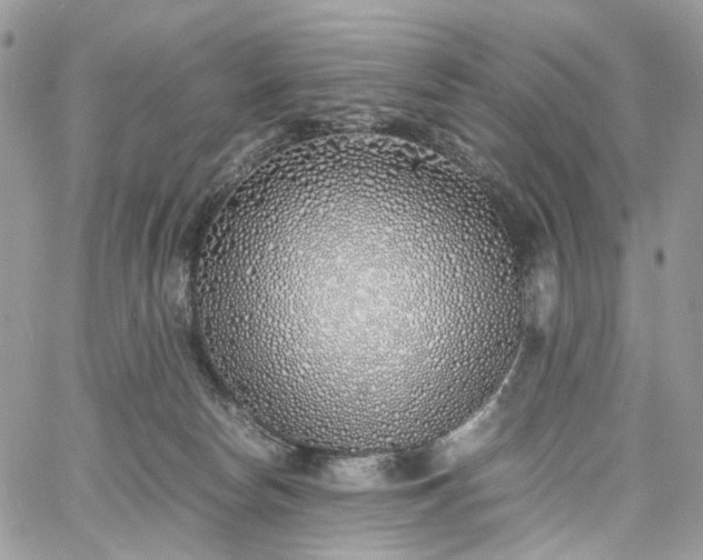 X0000060780178200511171252