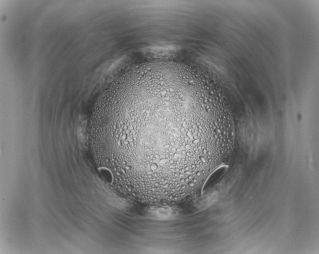 X0000060780181200511171252