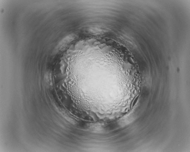 X0000060780182200511171252