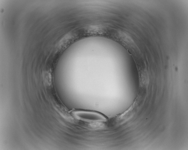 X0000060780183200511171252