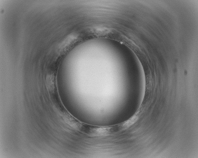 X0000060780184200511171252