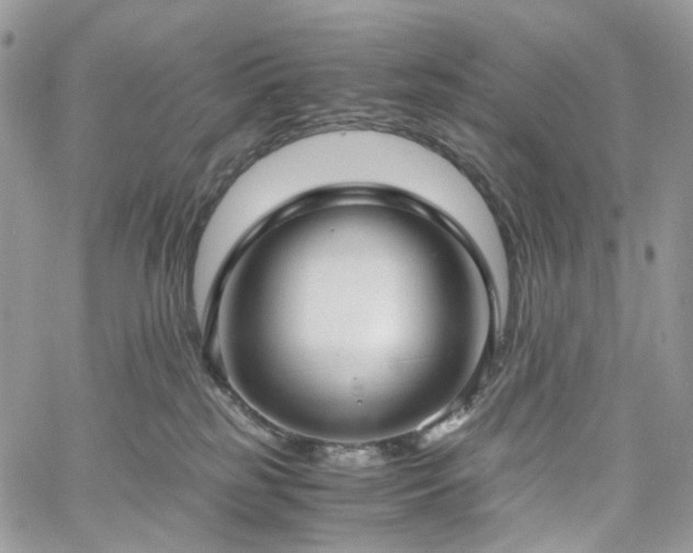 X0000060780185200511171252