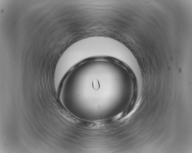 X0000060780186200511171252