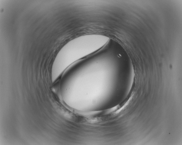 X0000060780187200511171252