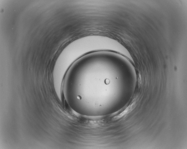 X0000060780188200511171252