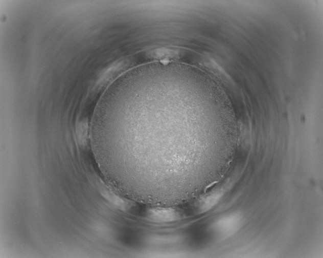 X0000060780189200511171252