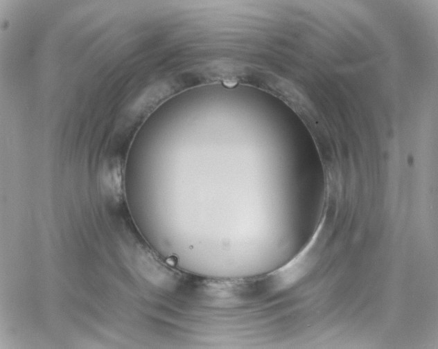 X0000060780190200511171252