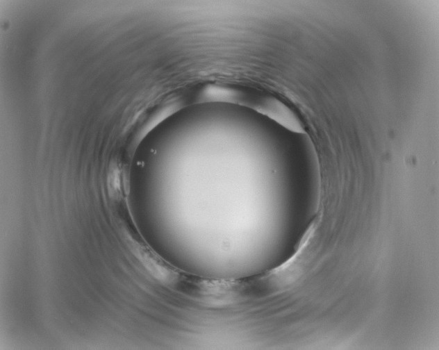 X0000060780192200511171252