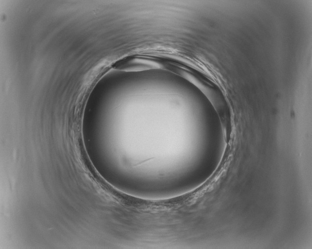 X0000060780193200511171251