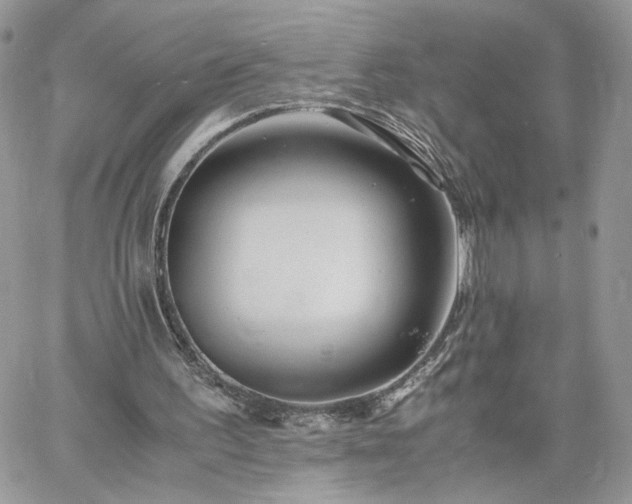 X0000060780195200511171251