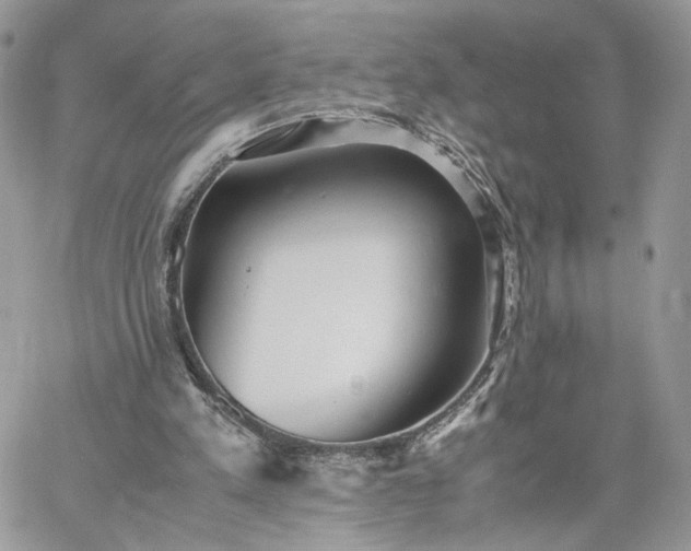 X0000060780197200511171251