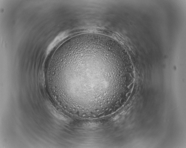 X0000060780198200511171251