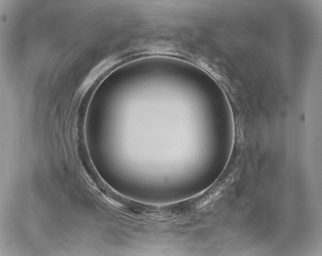 X0000060780199200511171251