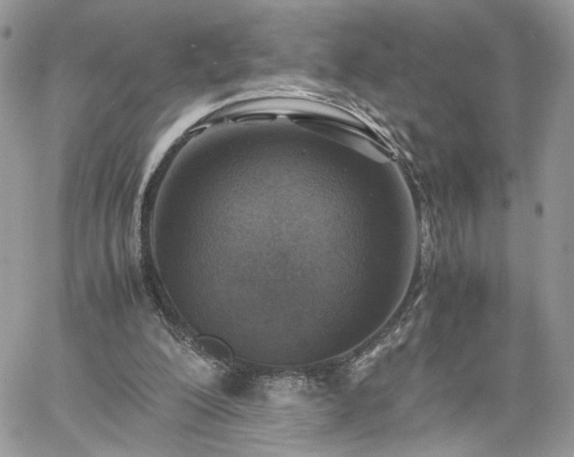 X0000060780200200511171251