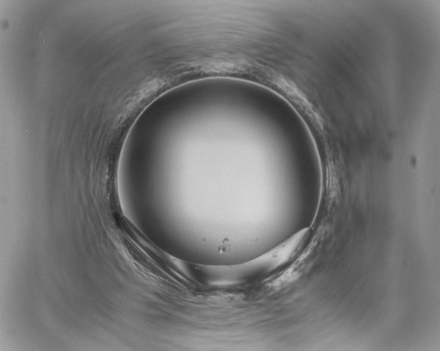 X0000060780201200511171251