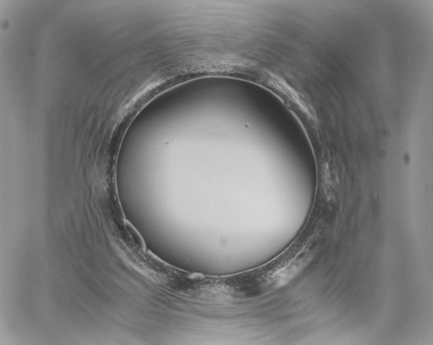 X0000060780203200511171251