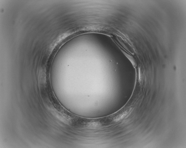 X0000060780204200511171251