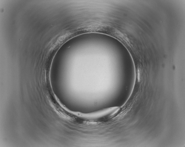 X0000060780205200511171251