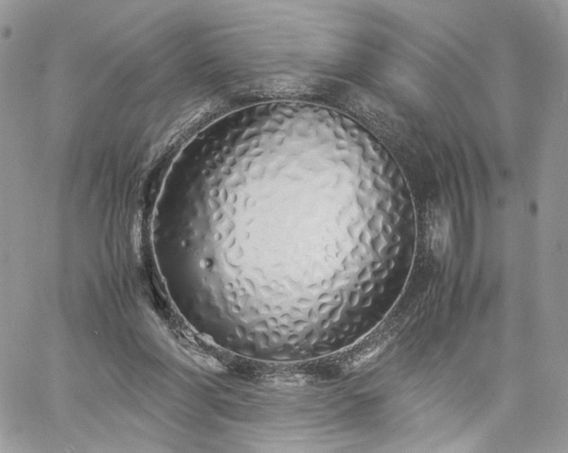 X0000060780206200511171251