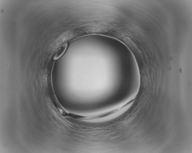 X0000060780207200511171251