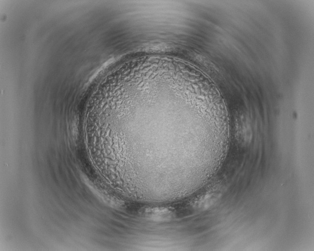 X0000060780208200511171251