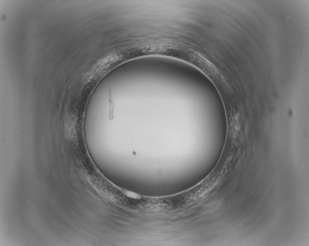 X0000060780209200511171251