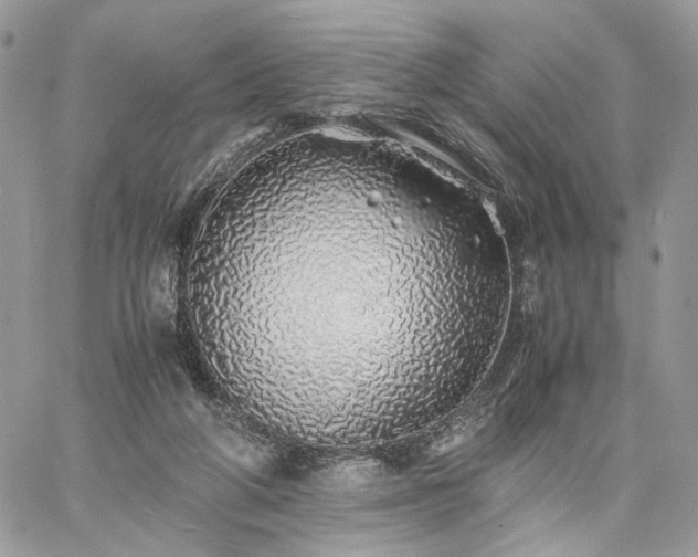 X0000060780210200511171251