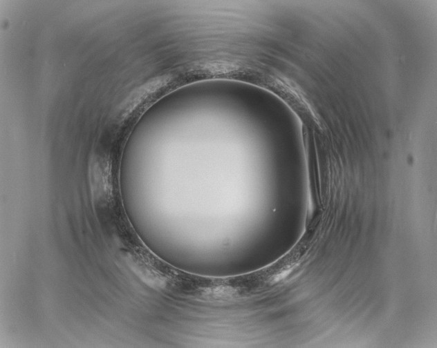 X0000060780212200511171251