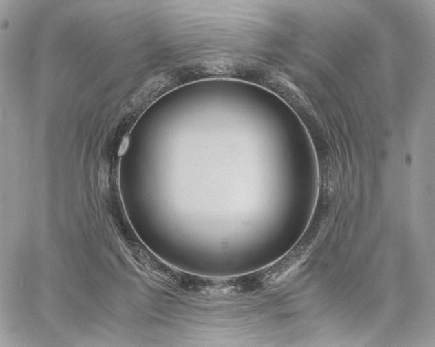 X0000060780213200511171251