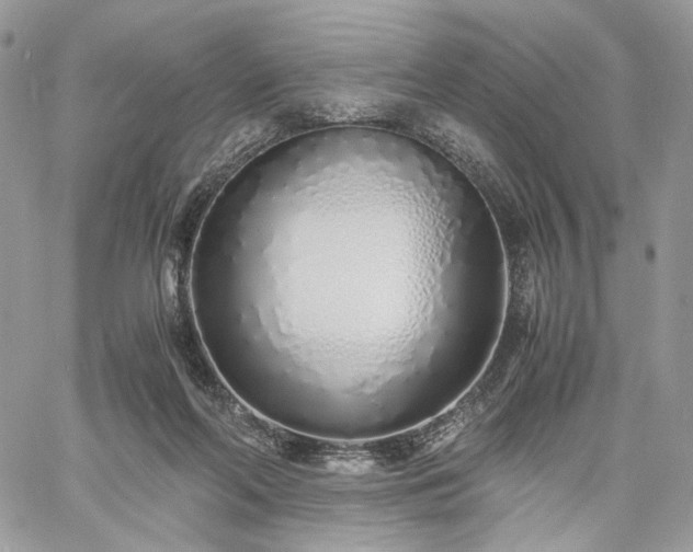 X0000060780214200511171251