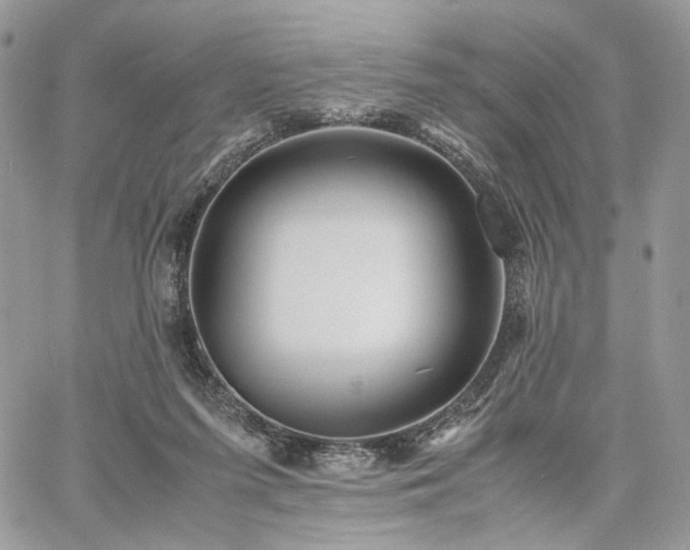 X0000060780215200511171251