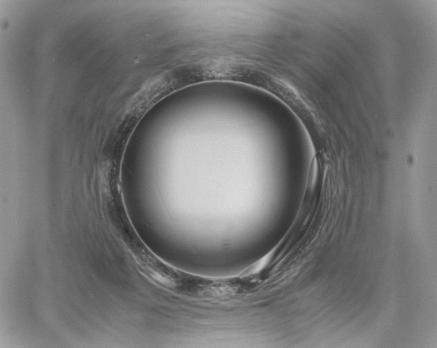 X0000060780217200511171251