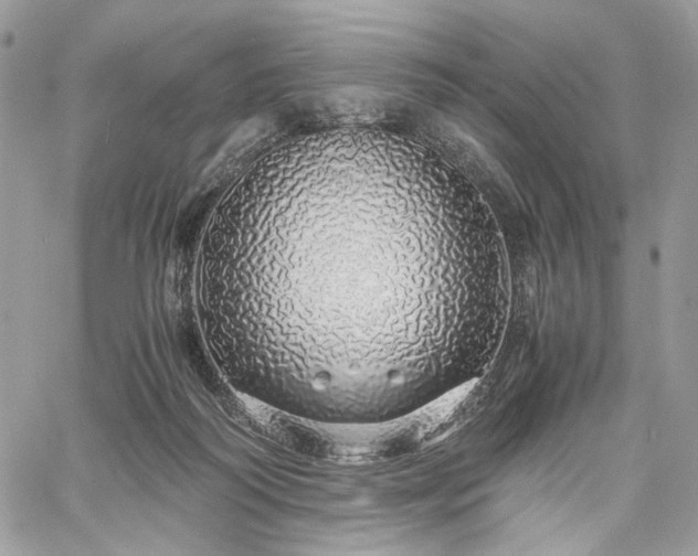 X0000060780218200511171251